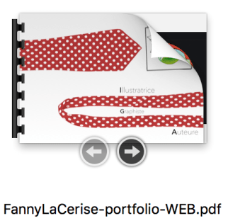bouton-portfolio
